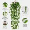 Simulación de espacio de oficina plantas de jardinería decoración decoración verde decoración interior Item Picture